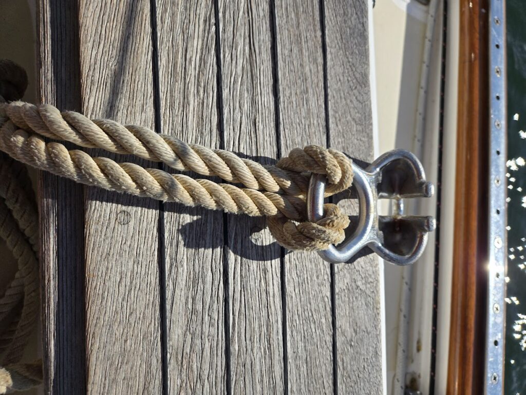 anchor chain hook